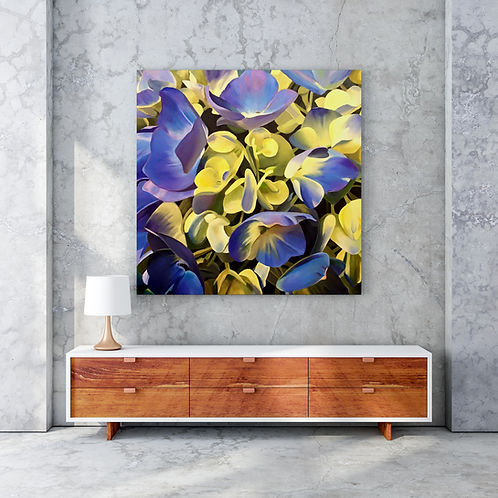 Brilliant Blue and Yellow Hydrangeas