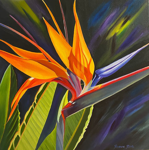 Bird of Paradise
