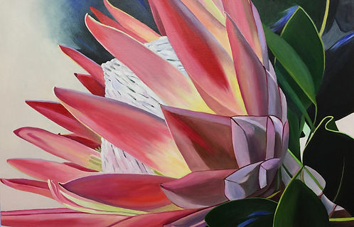 Greeting Card - Protea