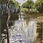 Thumbnail: Greeting Card - Charley's Creek