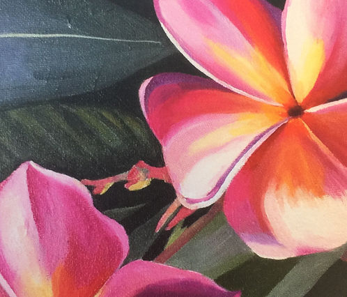 Greeting Card - Pink Frangipanis