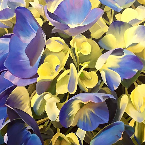Brilliant Blue and Yellow Hydrangeas