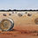 Thumbnail: Greeting Card - Haybales